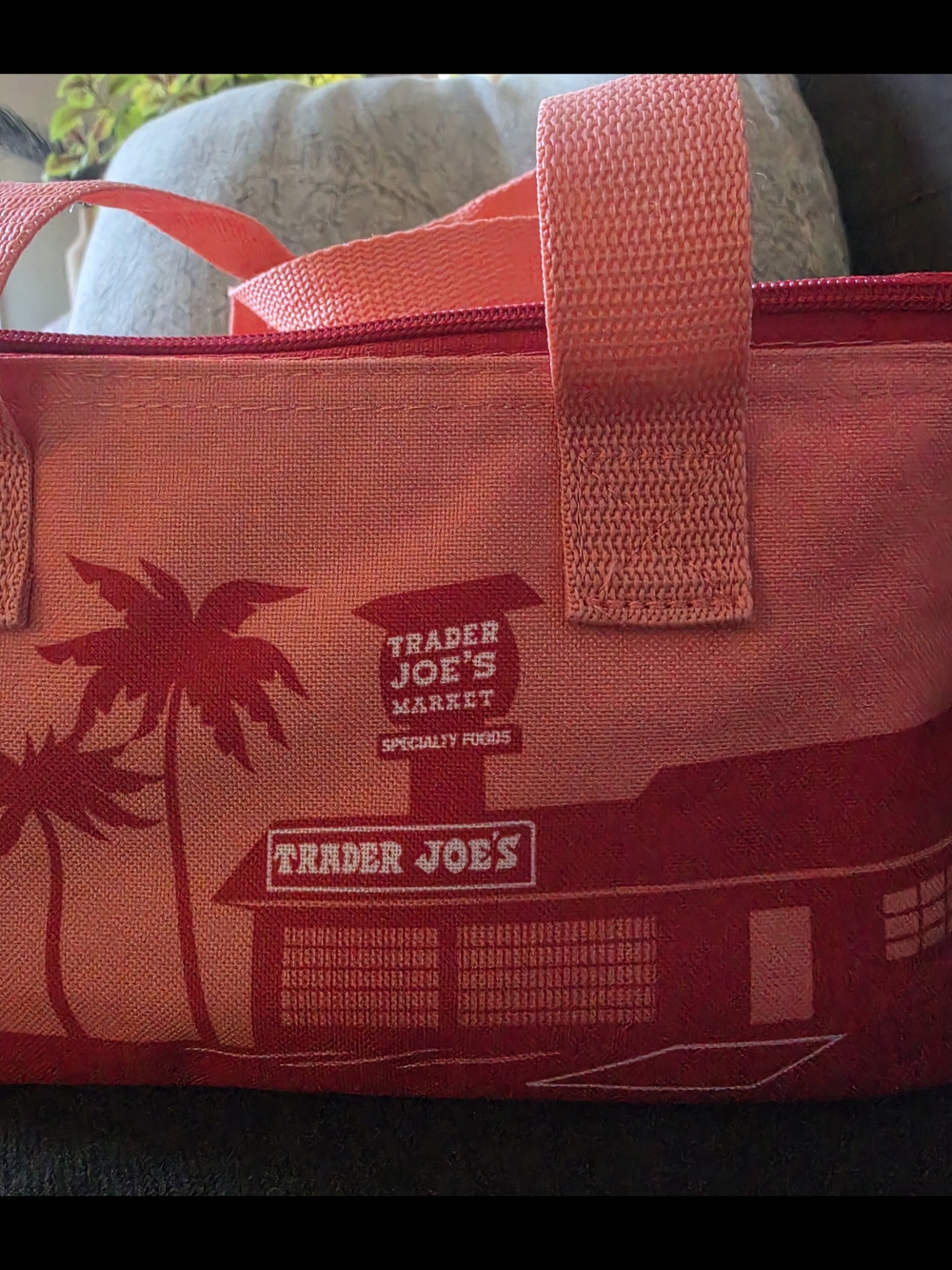 Trader Joe's Coral Red Insulated Tote Lunch Bag